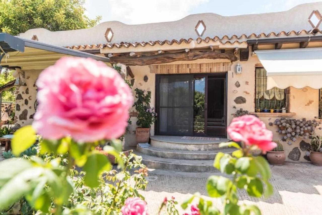 Villa Con Immenso Giardino أروسييْ المظهر الخارجي الصورة