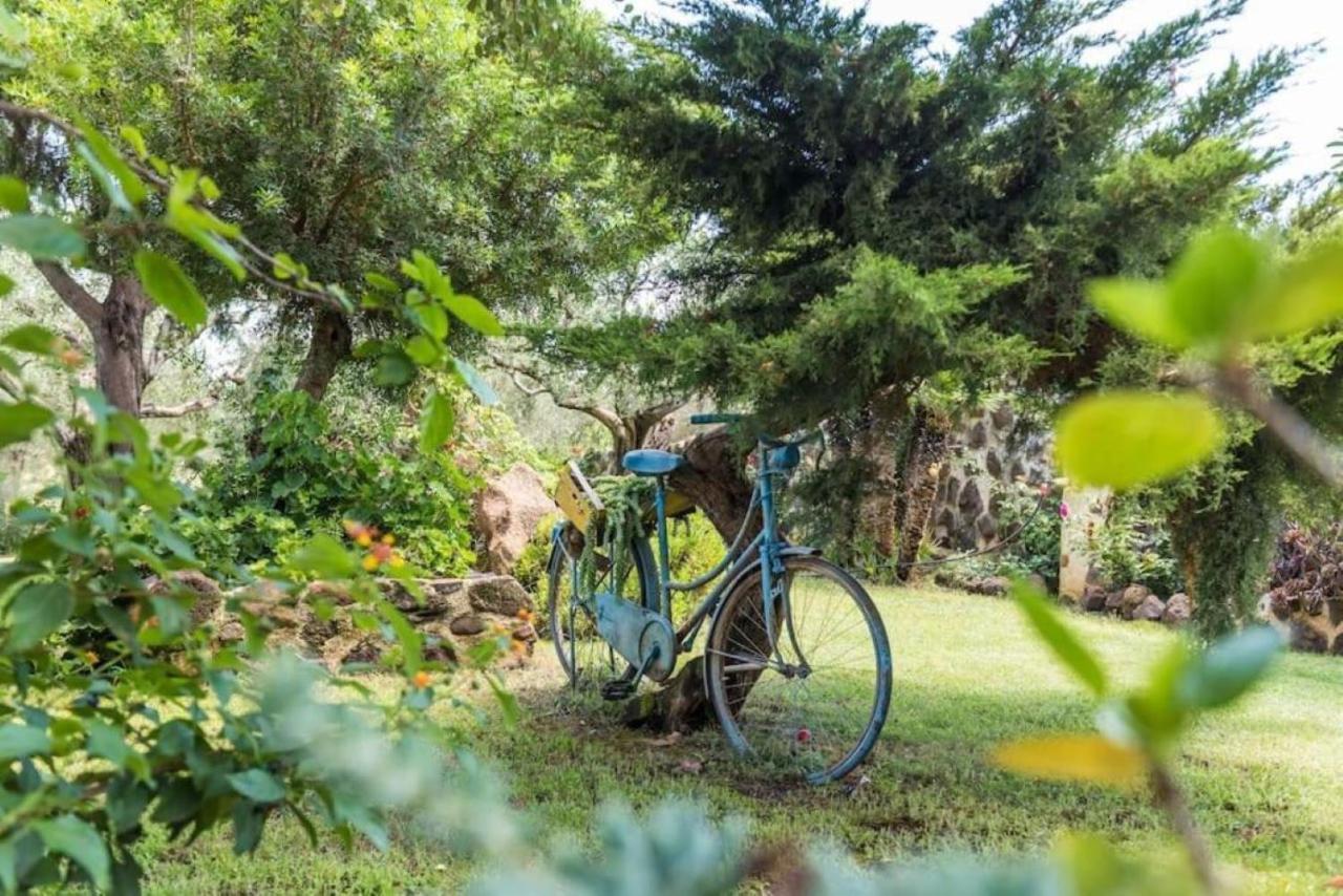 Villa Con Immenso Giardino أروسييْ المظهر الخارجي الصورة